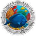 Austria 3 euro coin 2024 - Luminous Marine Life - Blue surgeonfish for 16.00 € ✅