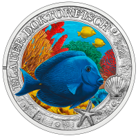 Austria 3 euros moneda 2024 - Vida marina luminosa - Pez cirujano azul