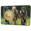 Belgium 2,5 euro BU 2026 - the Belgian draft horse for 11.00 € ✅