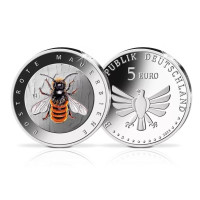 Germany 5 euro UNC 2023-2 - The Wonderful World of Insects - Red Mason Bee