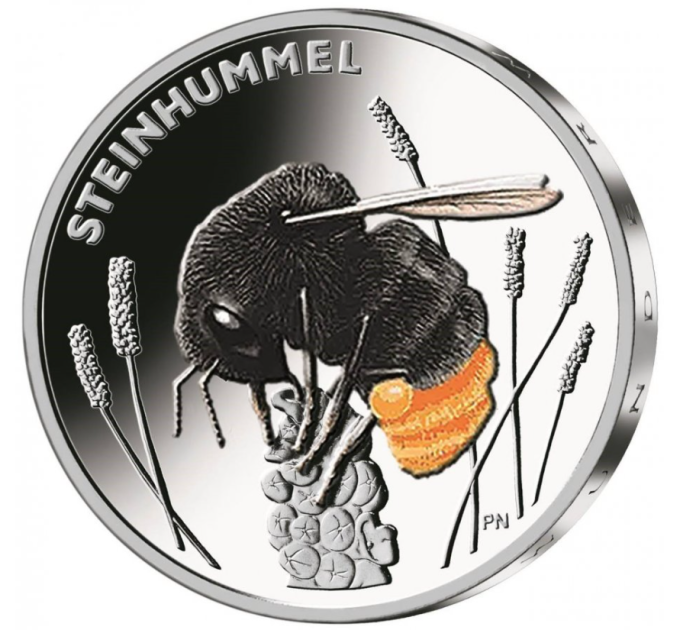 Alemania 5 euros UNC 2024 - El maravilloso mundo de los insectos - Abejorro de cola roja por 7.50 € ✅