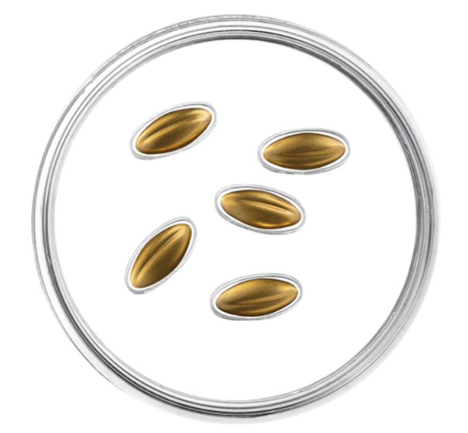 Latvia 15 euro gold proof 2026 - Golden Seeds for 425.00 € ✅