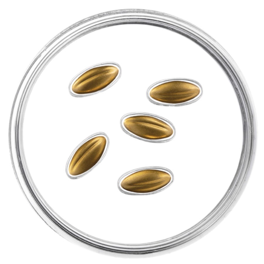 Latvia 15 euro gold proof 2026 - Golden Seeds Latvia 15 euro gold proof 2026 - Golden Seeds