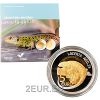 Luxembourg 5 euro silver Proof 2021 - Lacerta Luxembourg 5 euro silver Proof 2021 - Lacerta
