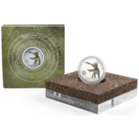 Portugal 5 euros de plata proof 2023 - Miragaia longicollum
