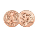 Austria 10 euro coin 2022-2 - Marigold for 13.50 € ✅