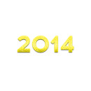 2014 year