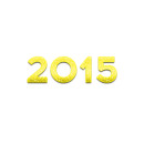 2015 year
