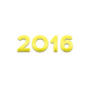 2016 year