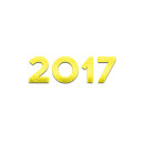 2017 year