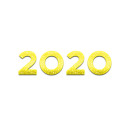 2020 year