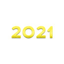 2021 year