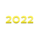 2022 year