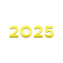 2025 year