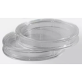 COIN CAPSULES - 2 EURO for 14.00 € ✅