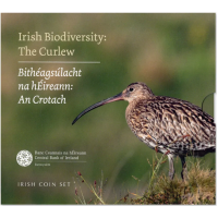 Irlanda conjunto de euros BU 2024 - Biodiversidad - La zarapito