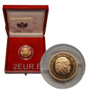 GOLD EURO COINS